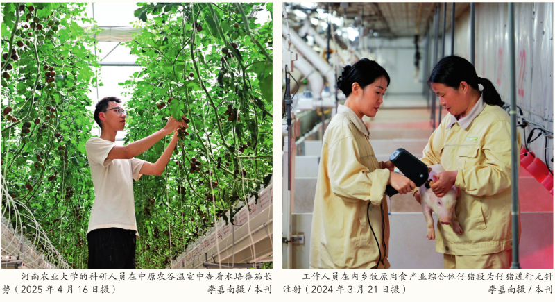 瞭望·治國(guó)理政紀(jì)事｜牢牢抓住糧食這個(gè)核心競(jìng)爭(zhēng)力