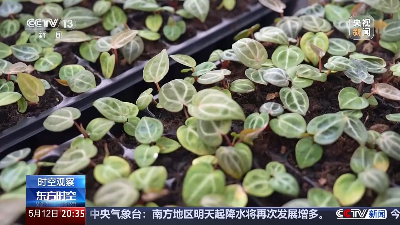 花錢開心 今天你“情緒消費”了嗎？