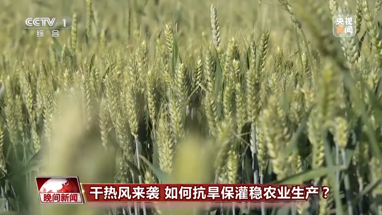 干熱風來襲 如何抗旱保灌穩(wěn)農業(yè)生產？