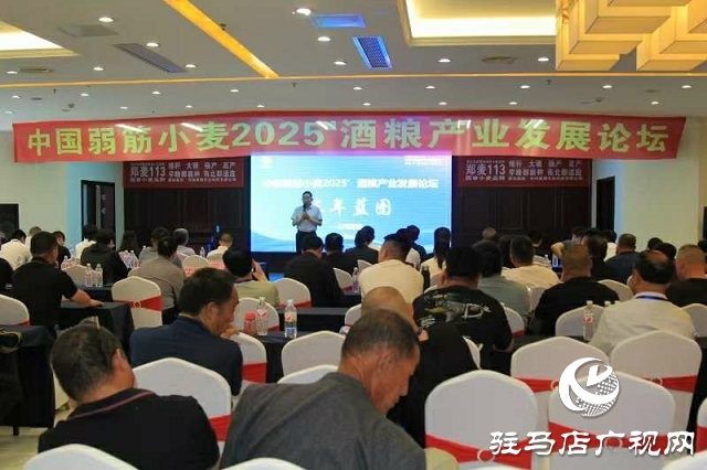  中國弱筋小麥2025'酒糧產(chǎn)業(yè)發(fā)展論壇在新蔡縣舉行