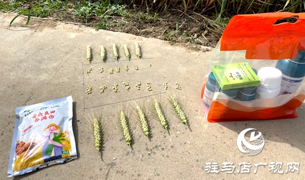 普眾良田農(nóng)業(yè)科技有限公司成功舉辦谷滿倉增產(chǎn)肥種植技術(shù)交流會(huì)暨VIP客戶答謝會(huì)
