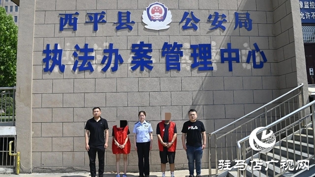 小案快偵顯擔當!西平警方迅速破獲系列盜竊電車電瓶案