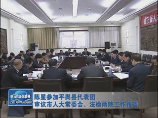 陳星參加平輿代表團(tuán)審議市人大常委會、法檢兩院工作報(bào)